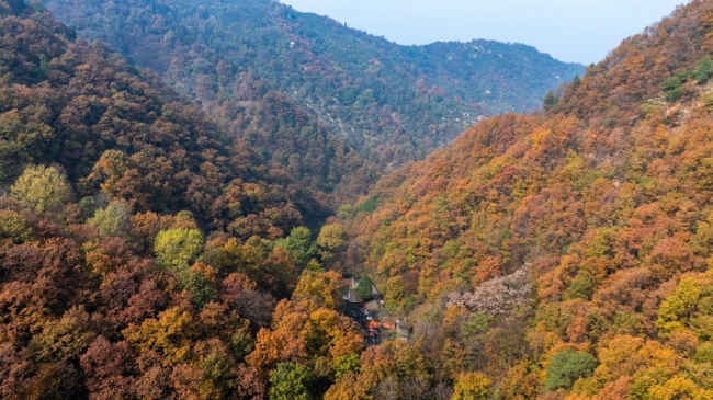 “瞰見(jiàn)秦嶺 詩(shī)畫(huà)終南”媒體景區(qū)行活動(dòng) 邂逅南五臺(tái)秋韻